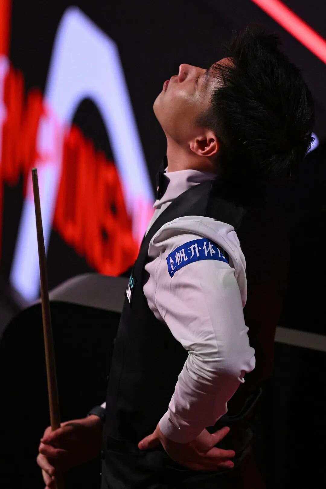 菲尼克斯太