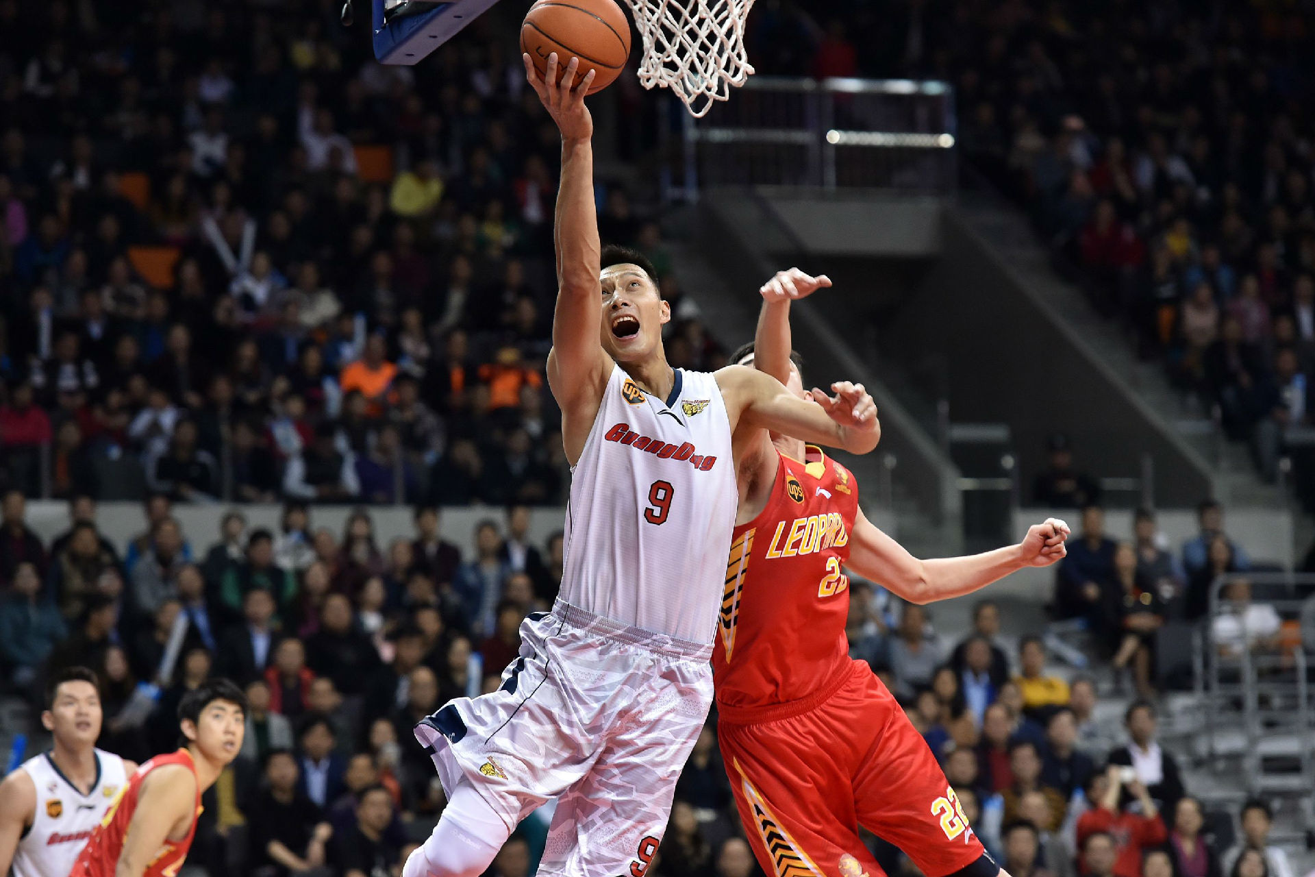 目的运动 目的运动