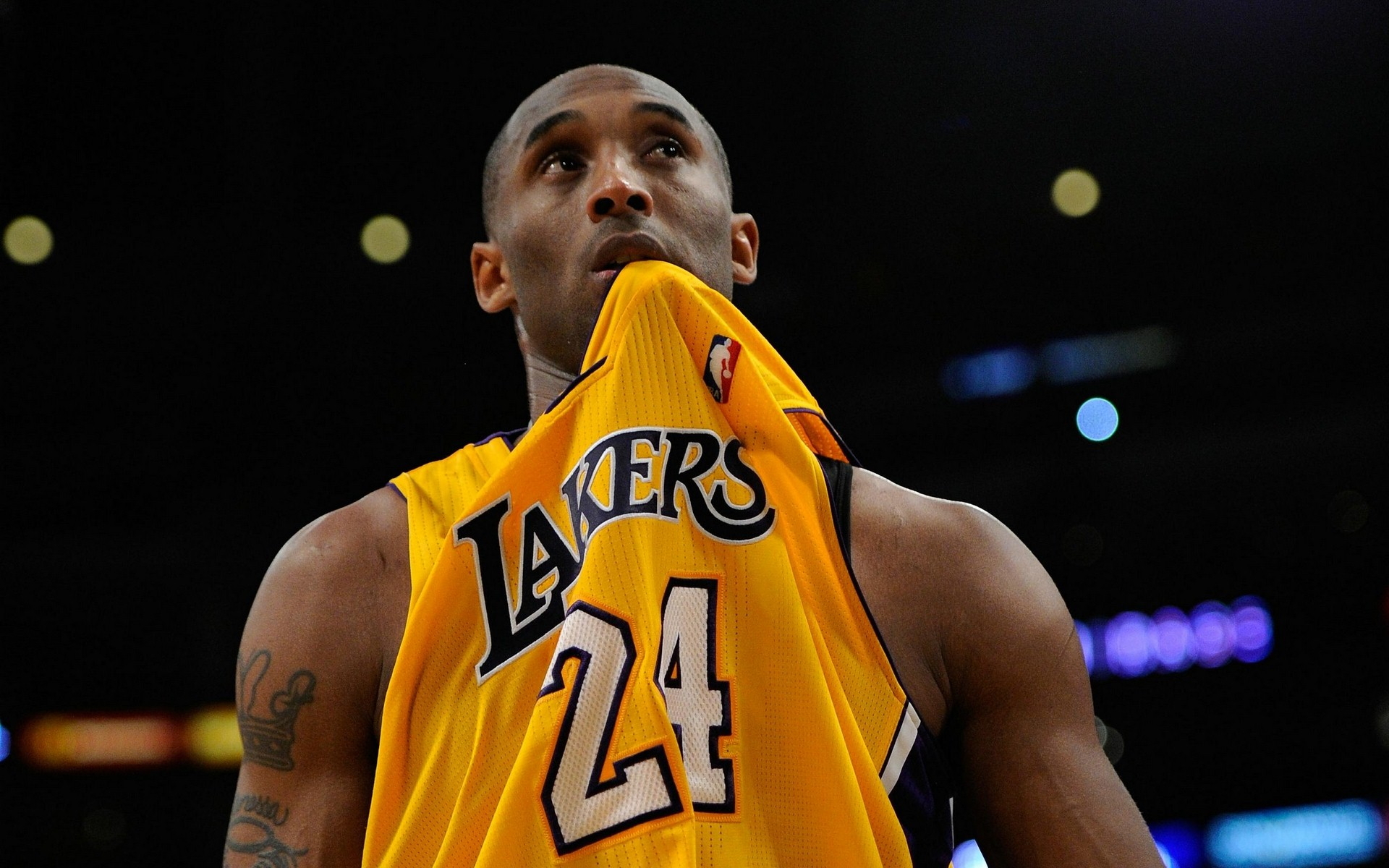 的攻防平台 的攻防平台