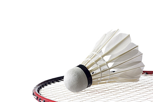 中国乒乓正 中国乒乓正