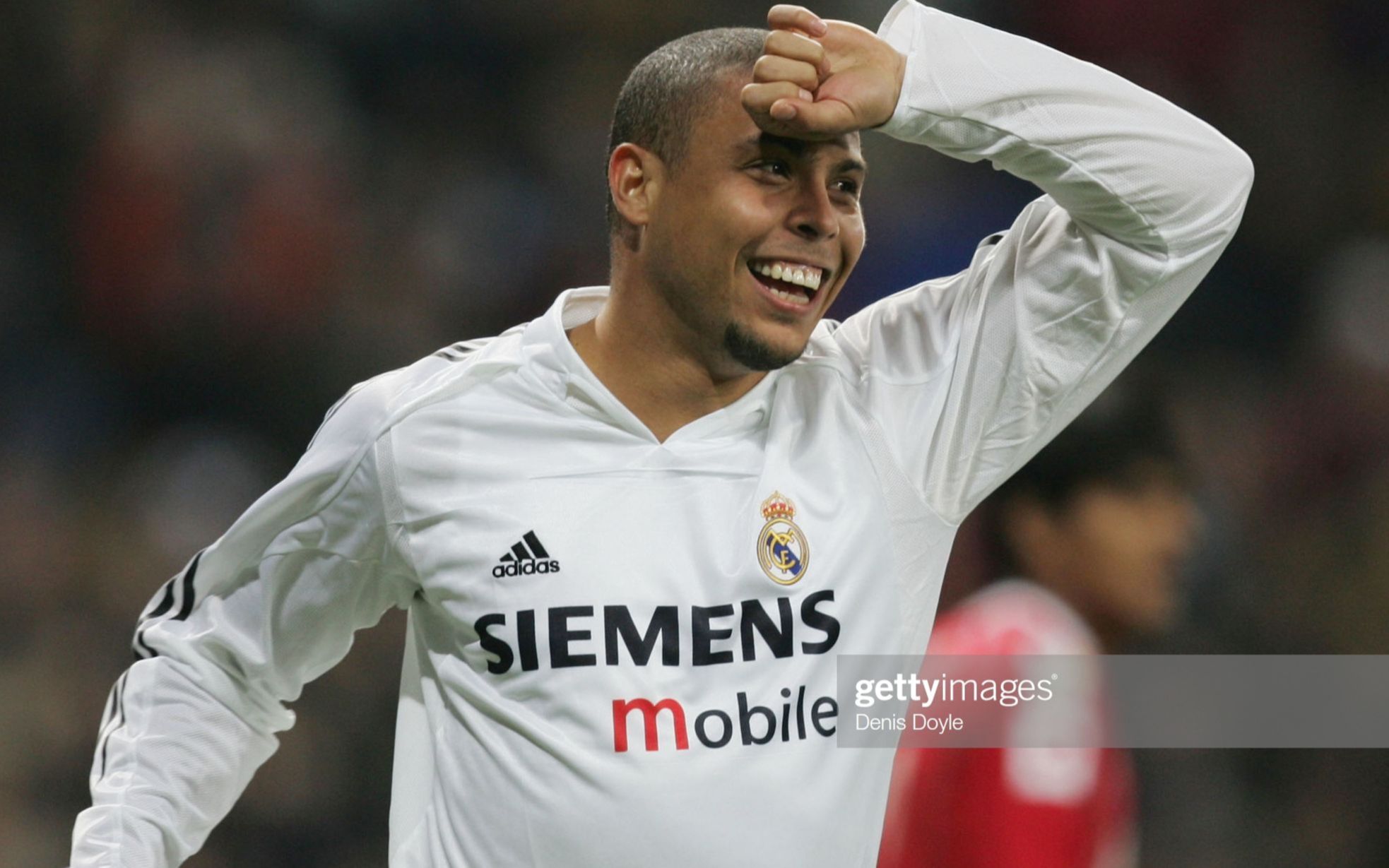 明确主导打 明确主导打